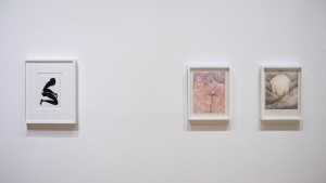 Figures: Amy Pleasant and Katarina Riesing-2